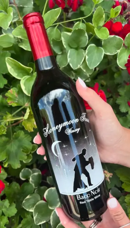 Hand holding a Honeymoon Trail Winery Baco Noir red table wine bottle with floral background